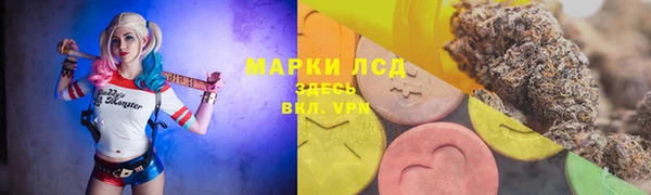 индика Белая Холуница